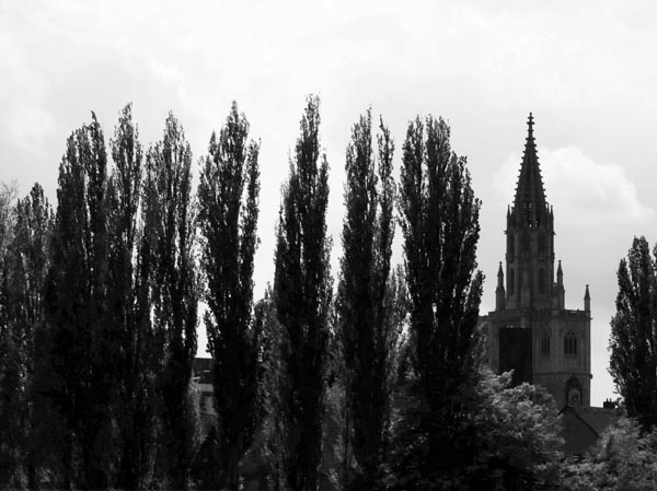 18_Susanne_Leupold