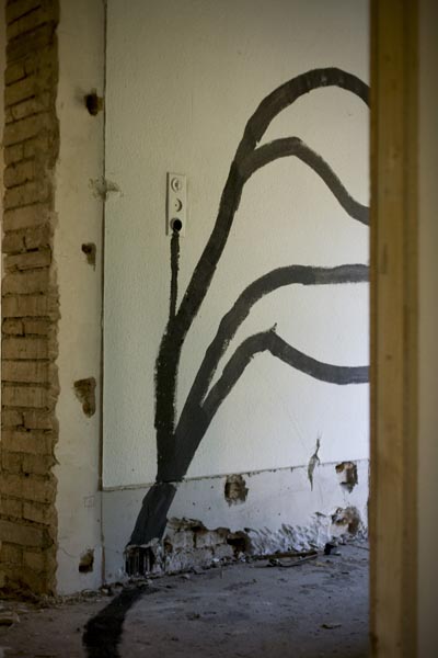 23_Stefan_Schanzenbach