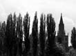 18_Susanne_Leupold