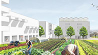 Illustration: Bebauung mit Urban Gardening im Vordergrund